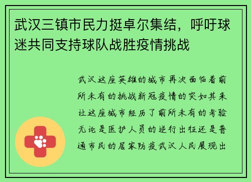 武汉三镇市民力挺卓尔集结，呼吁球迷共同支持球队战胜疫情挑战