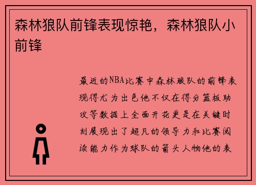 森林狼队前锋表现惊艳，森林狼队小前锋